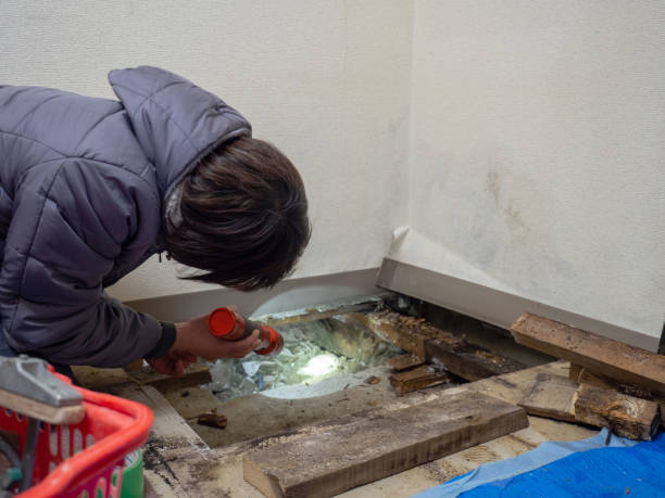 Best Water Damage & Mold Remediation  in Grenada, MS
