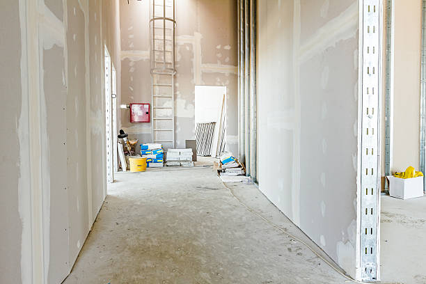 Forensic Mold Investigation in Grenada, MS